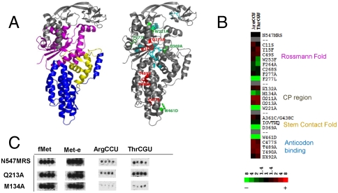 Fig. 4.