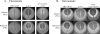 Fig 5