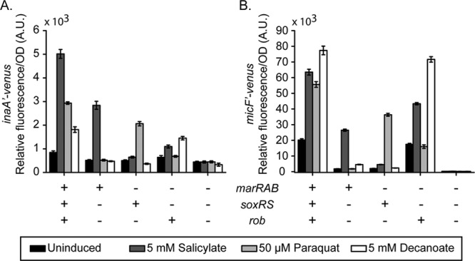 Fig 5