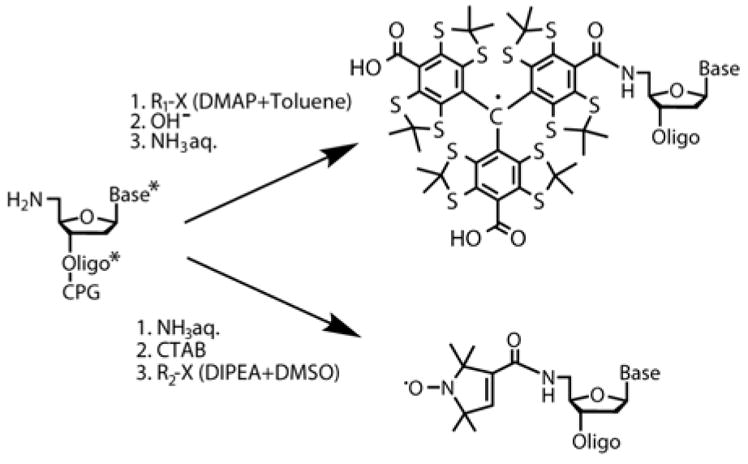 Scheme 2