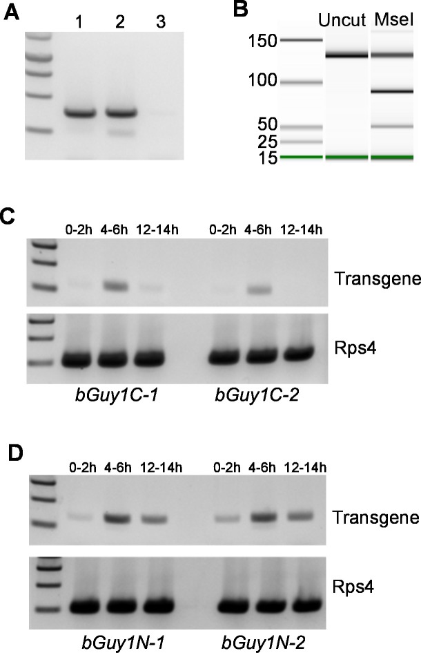 Figure 2.