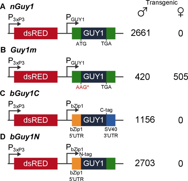 Figure 1.