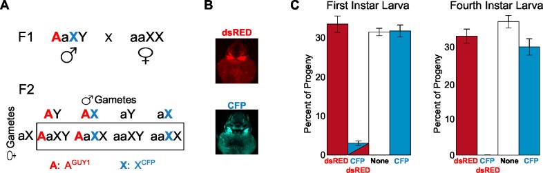 Figure 3.