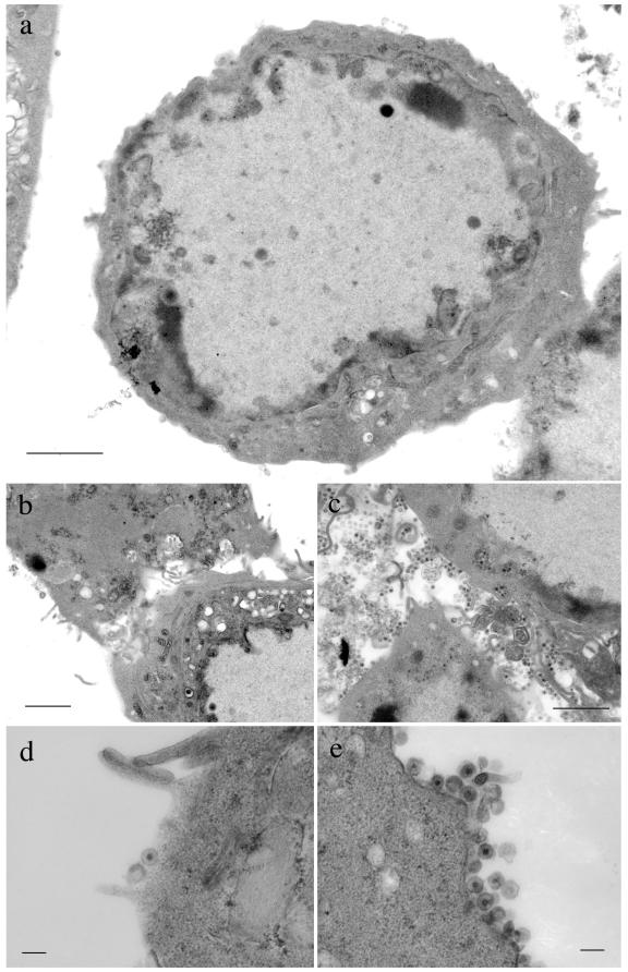 FIG. 6.