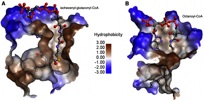 FIG 4