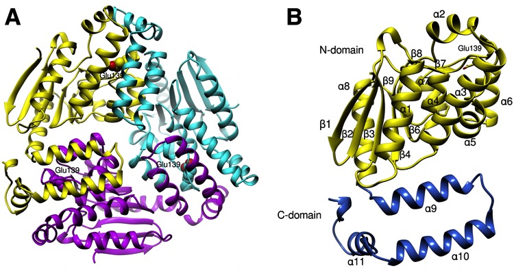 FIG 2