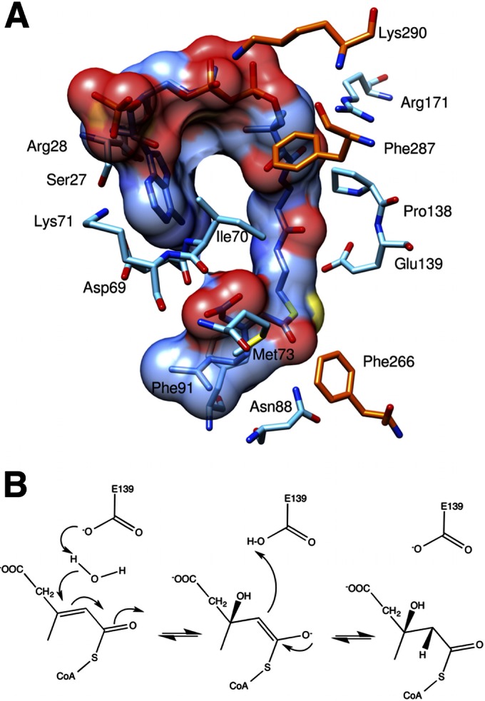 FIG 5