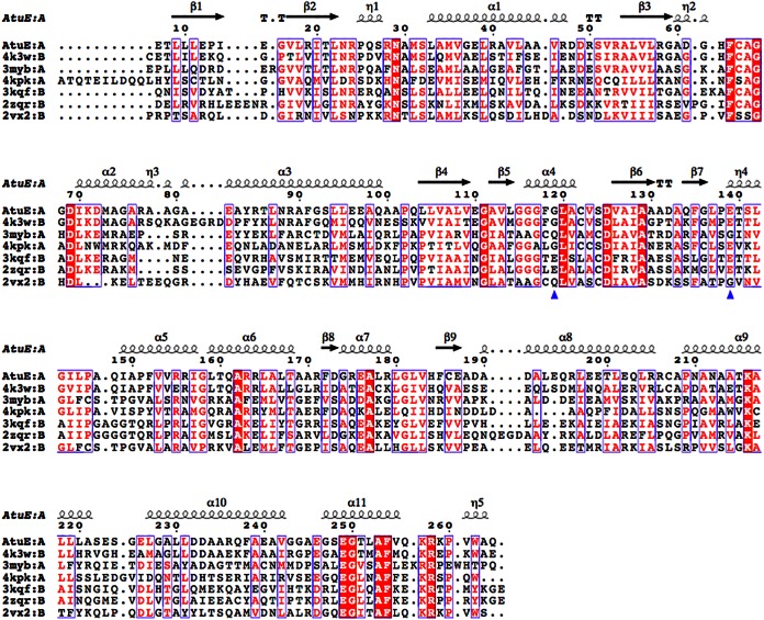 FIG 3