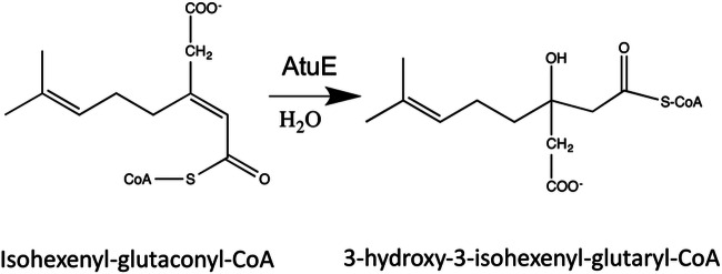 FIG 1