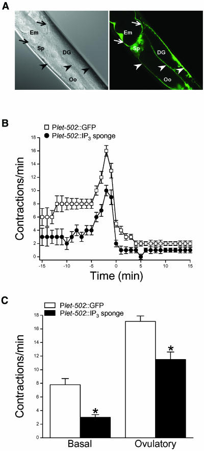 Figure 5.