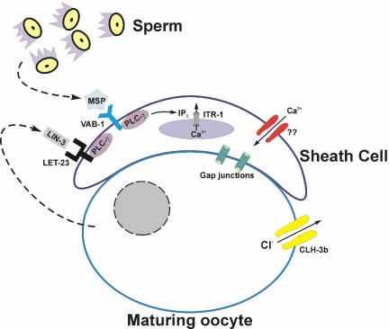 Figure 10.