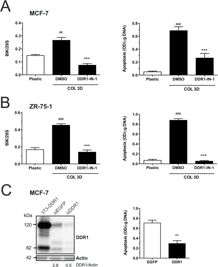 Fig 11