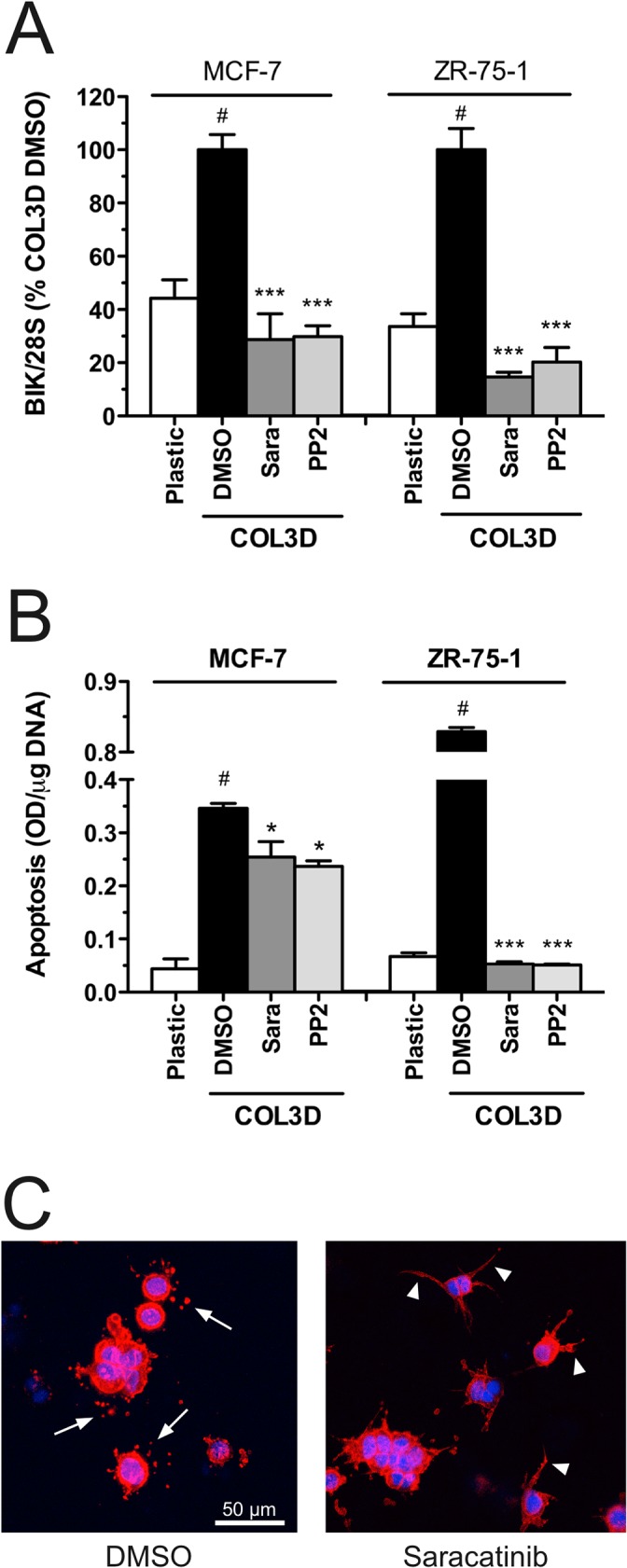 Fig 9