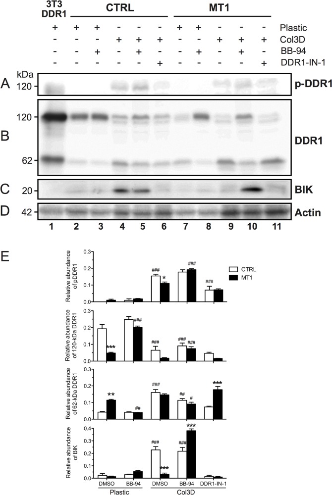 Fig 10