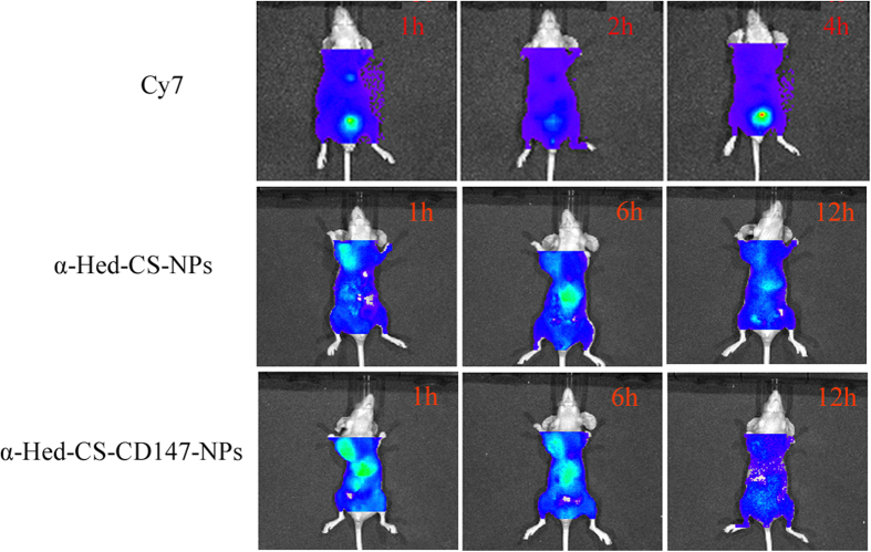 Figure 11