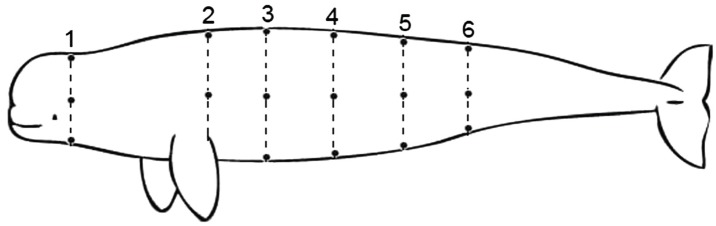 Fig. 1.