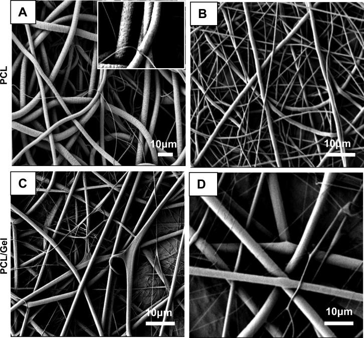 Fig.1