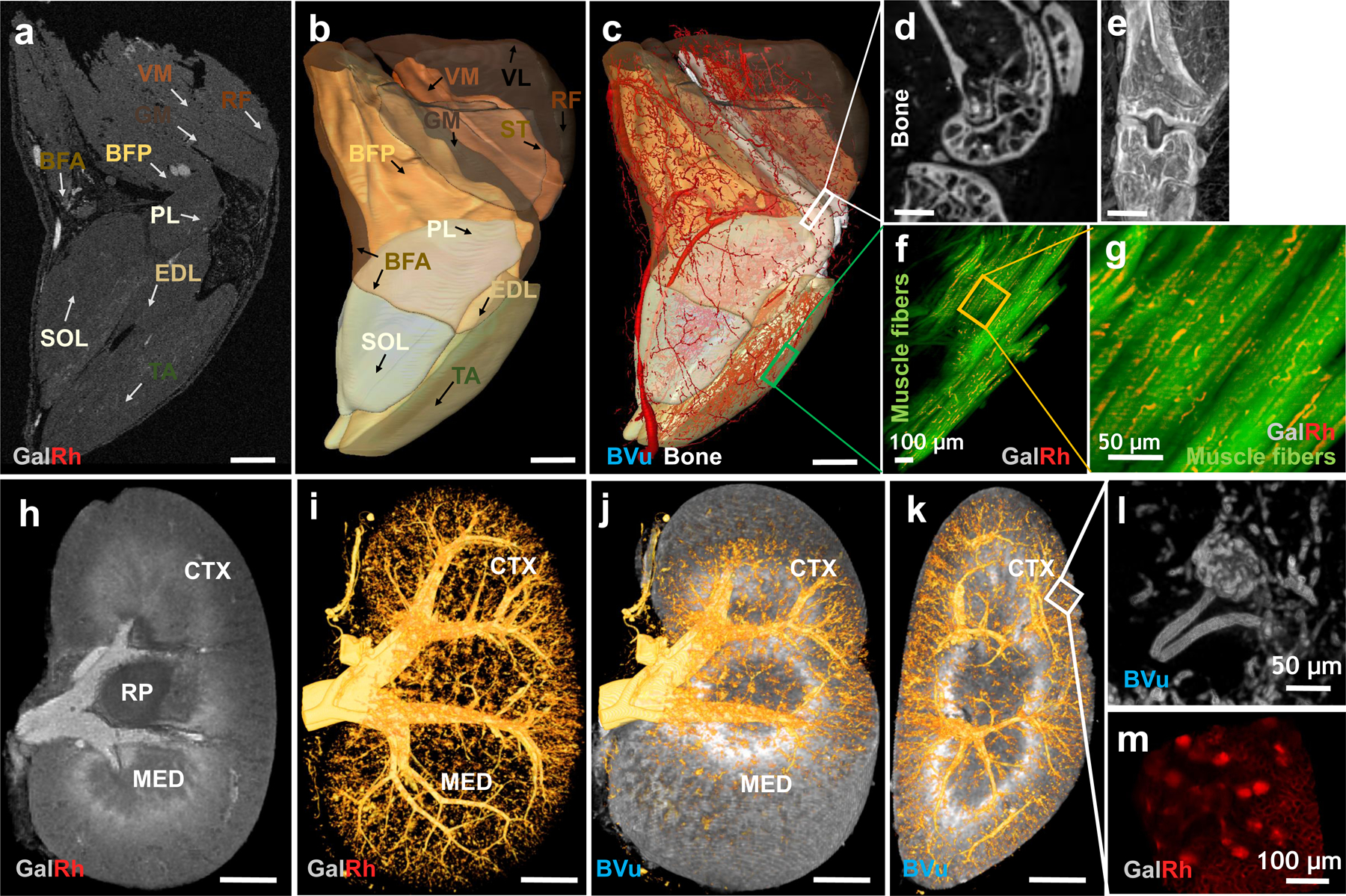 Fig. 6: