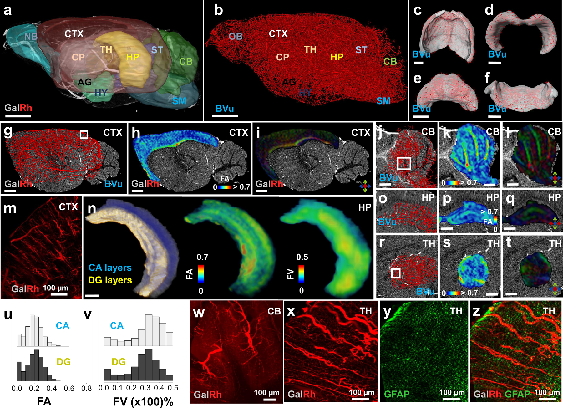 Fig. 4: