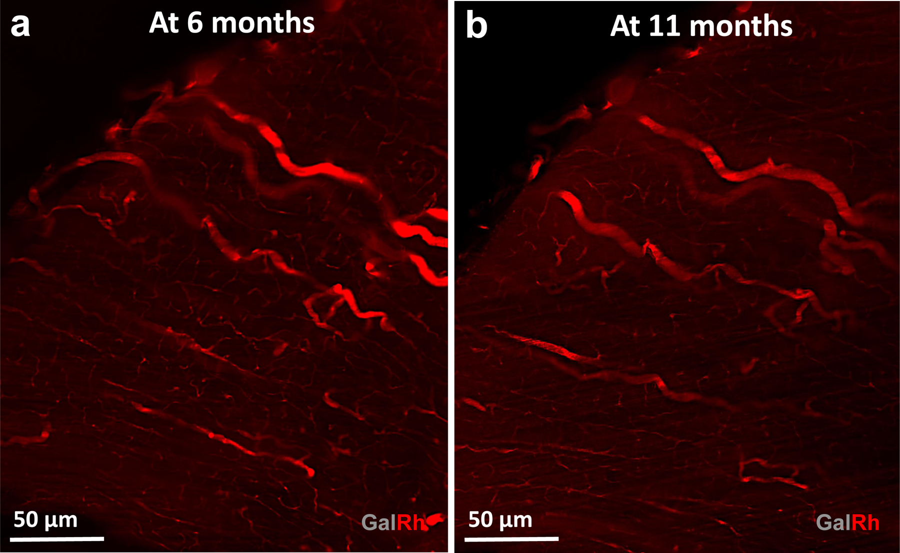 Extended Data Fig. 7