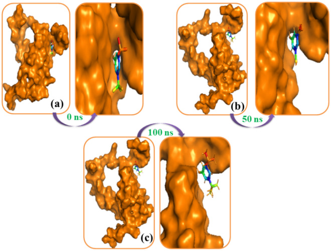 Figure 12