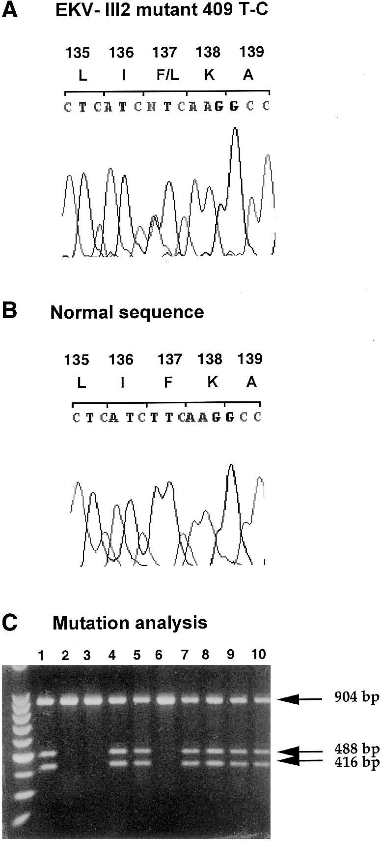 Figure  4