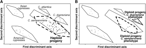 Figure 2.—