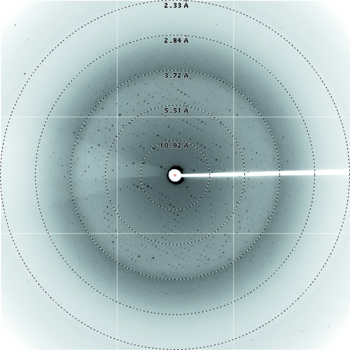 Figure 3