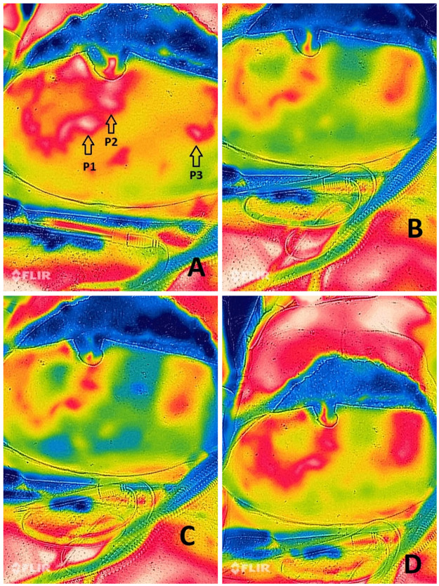 Figure 3: