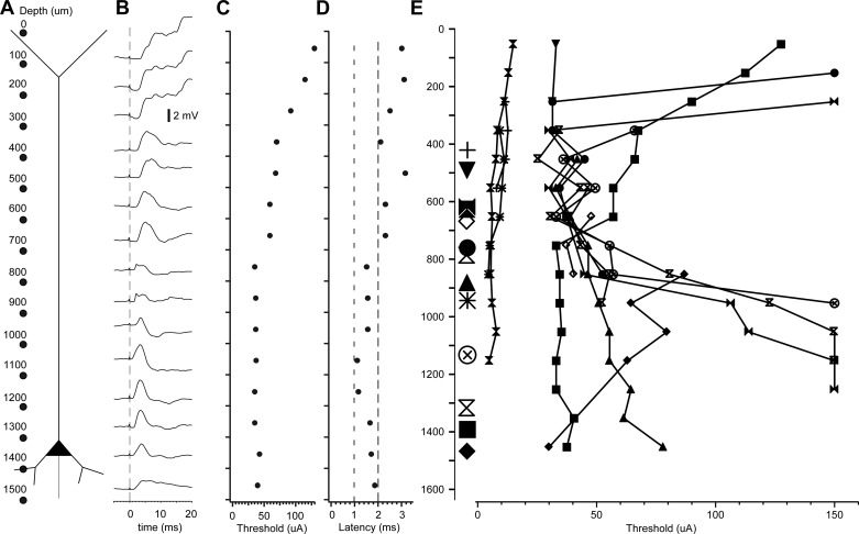 Fig. 10.