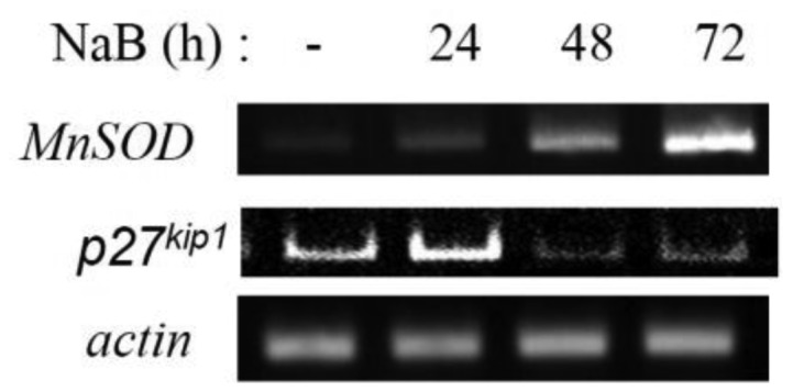 Figure 5.