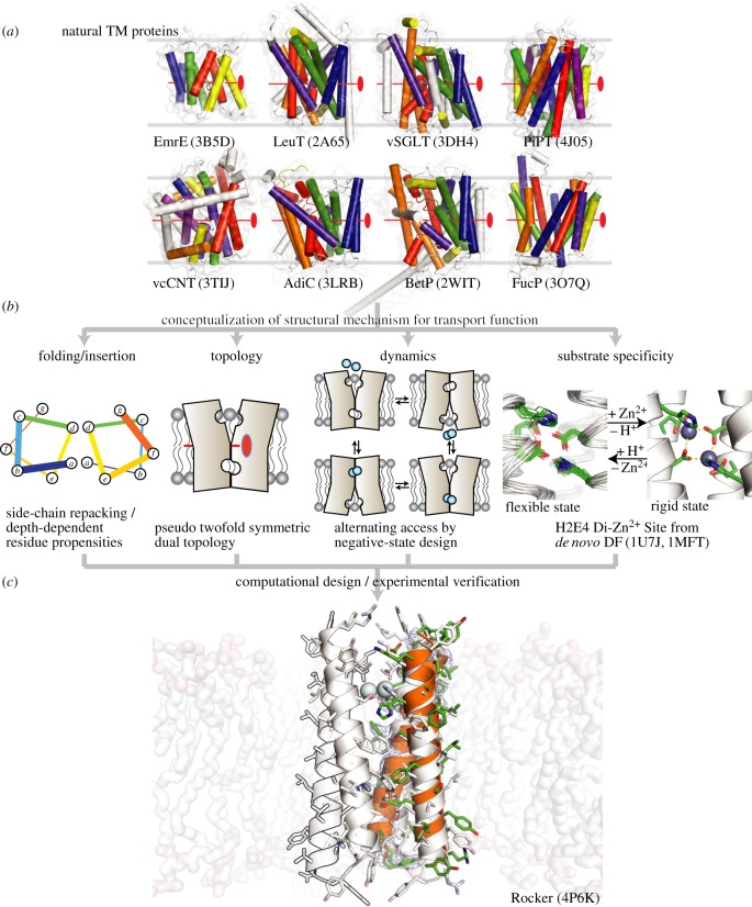 Figure 1.