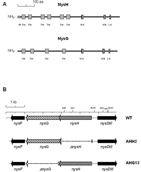 FIG. 1.