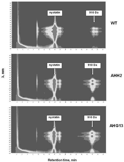 FIG. 2.