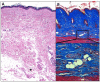 Fig. (4)