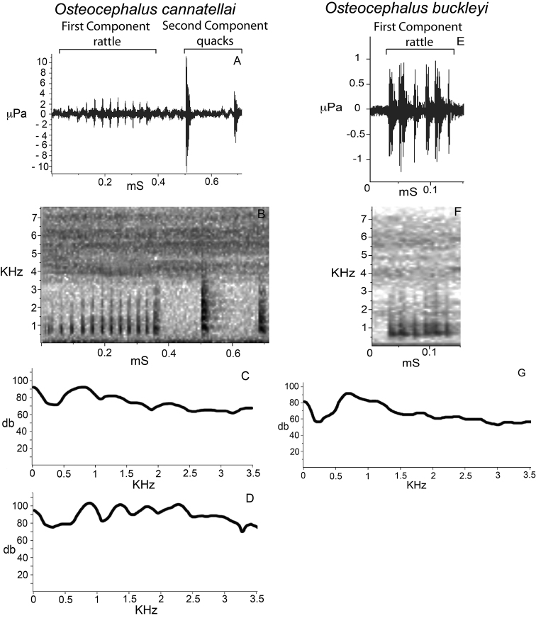 Figure 11.