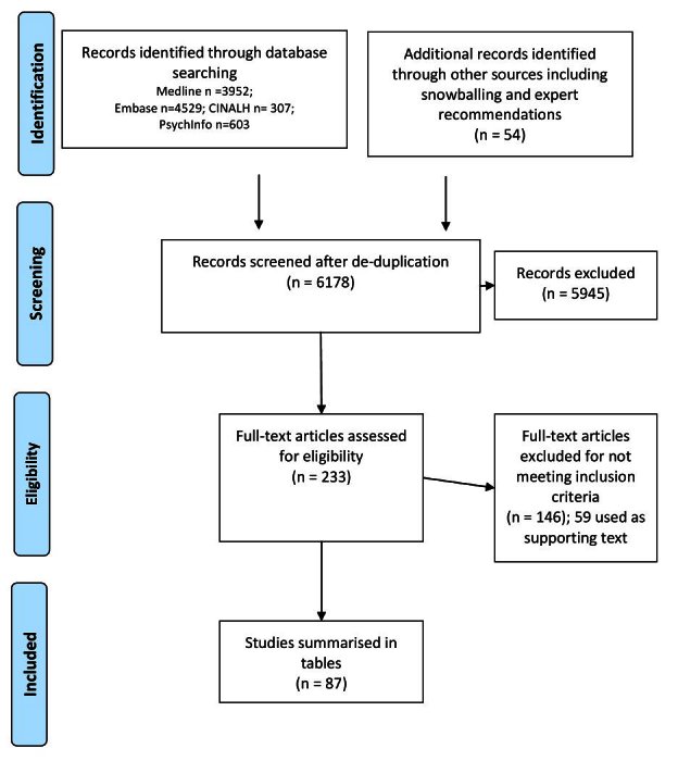 Flow chart of literature search strategy