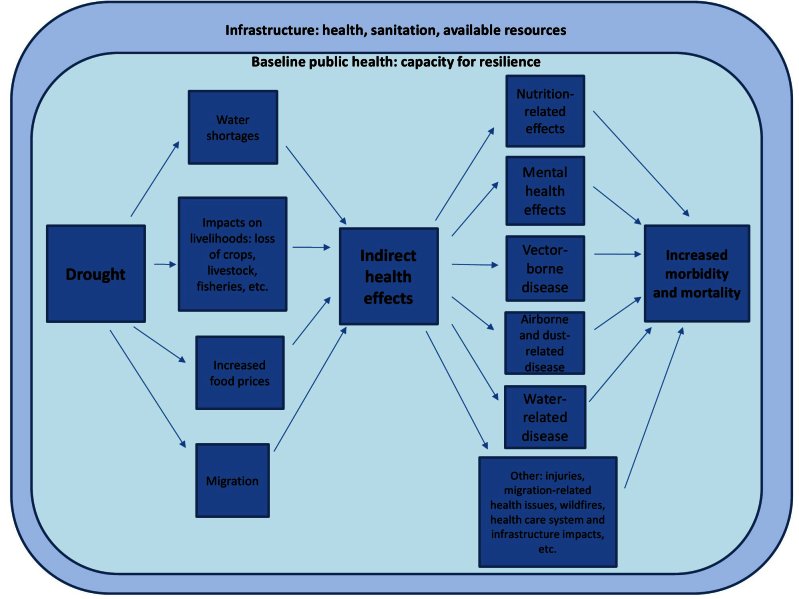 Identified health impacts of drought and related influencing factors