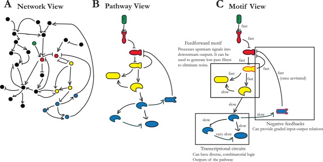 FIGURE 1: