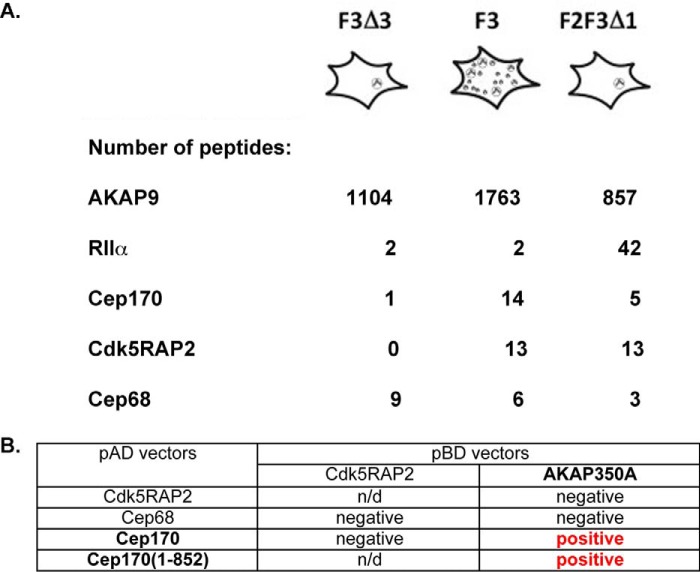 Figure 9.