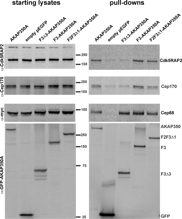 Figure 10.