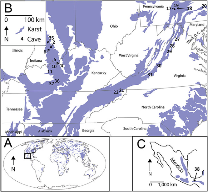 FIG 1