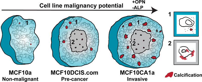 Fig 6.