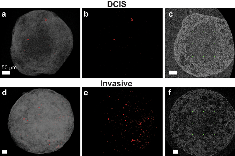 Fig 4.