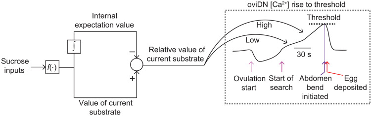 Fig. 9.