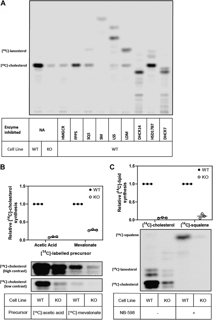 Fig. 6