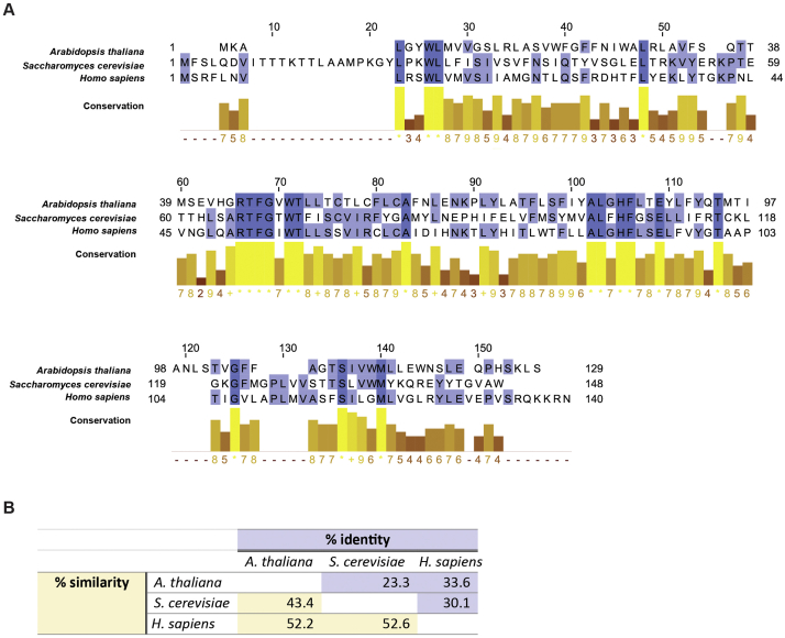 graphic file with name figs1.jpg