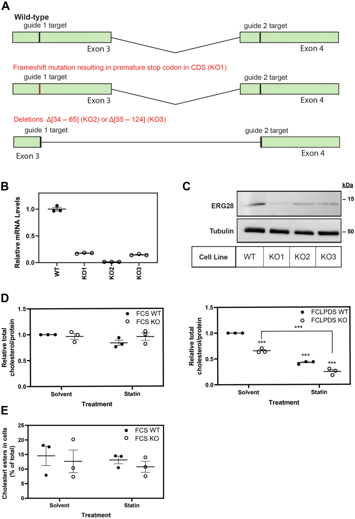 Fig. 4