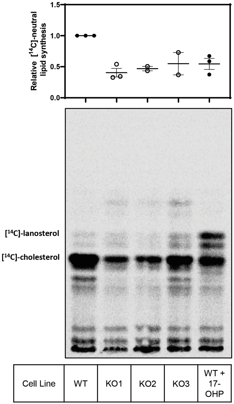 graphic file with name figs2.jpg