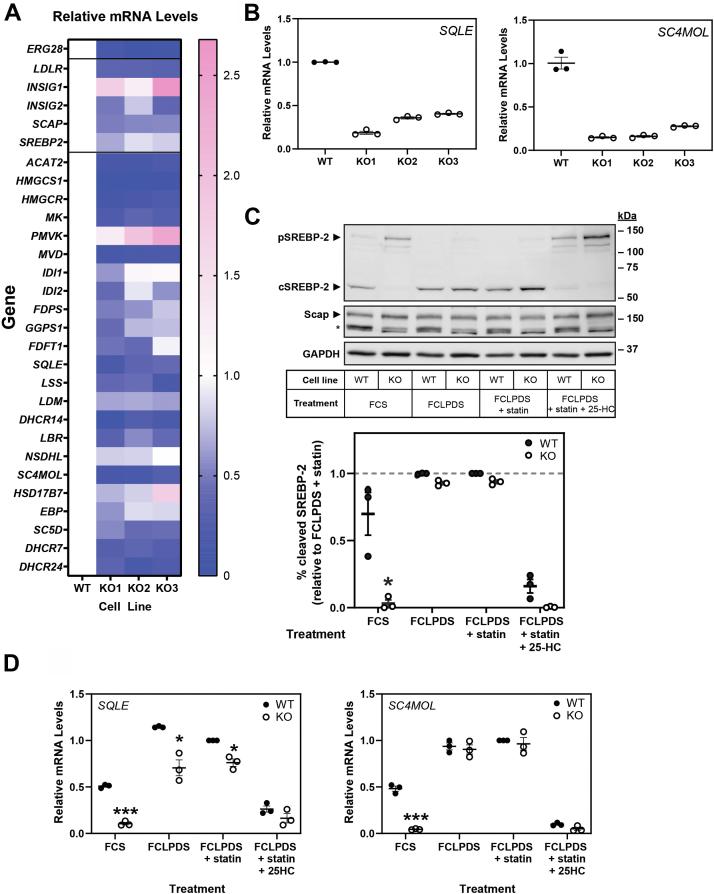 Fig. 7